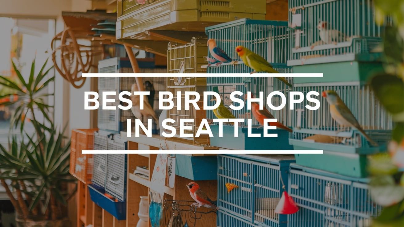 5 Best Bird Shops In Seattle (2026)