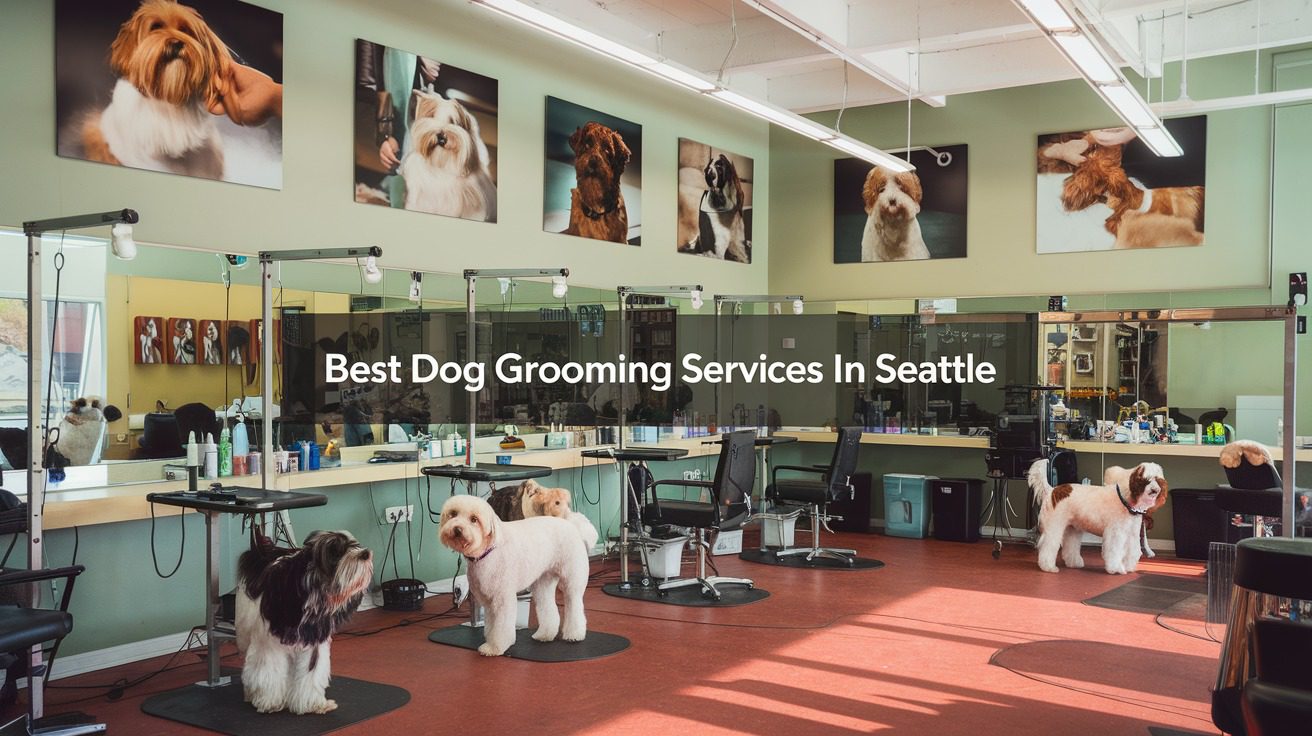 5 Best Dog Grooming Services In Seattle (2026)