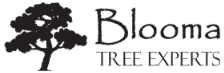 Blooma Tree Experts logo