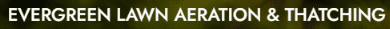 Evergreen Lawn Aeration logo