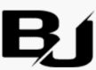 Bling Jewellery logo