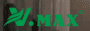 Vmax-Future Star Lighting logo