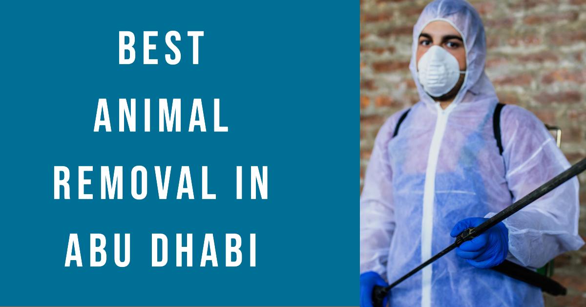 3 Best Animal Removal In Abu Dhabi (2026)