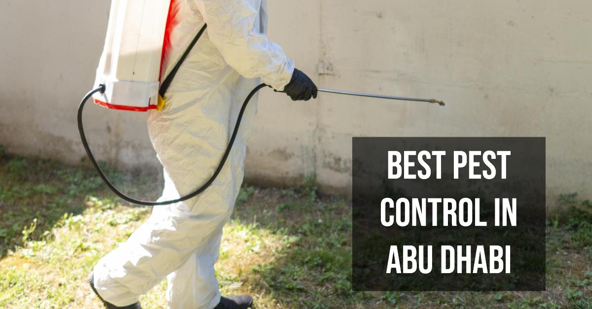 5 Best Pest Control In Abu Dhabi (2026)