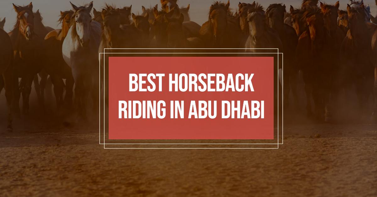 5 Best Horseback Riding In Abu Dhabi (2026)