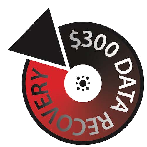 $300 Data Recovery logo