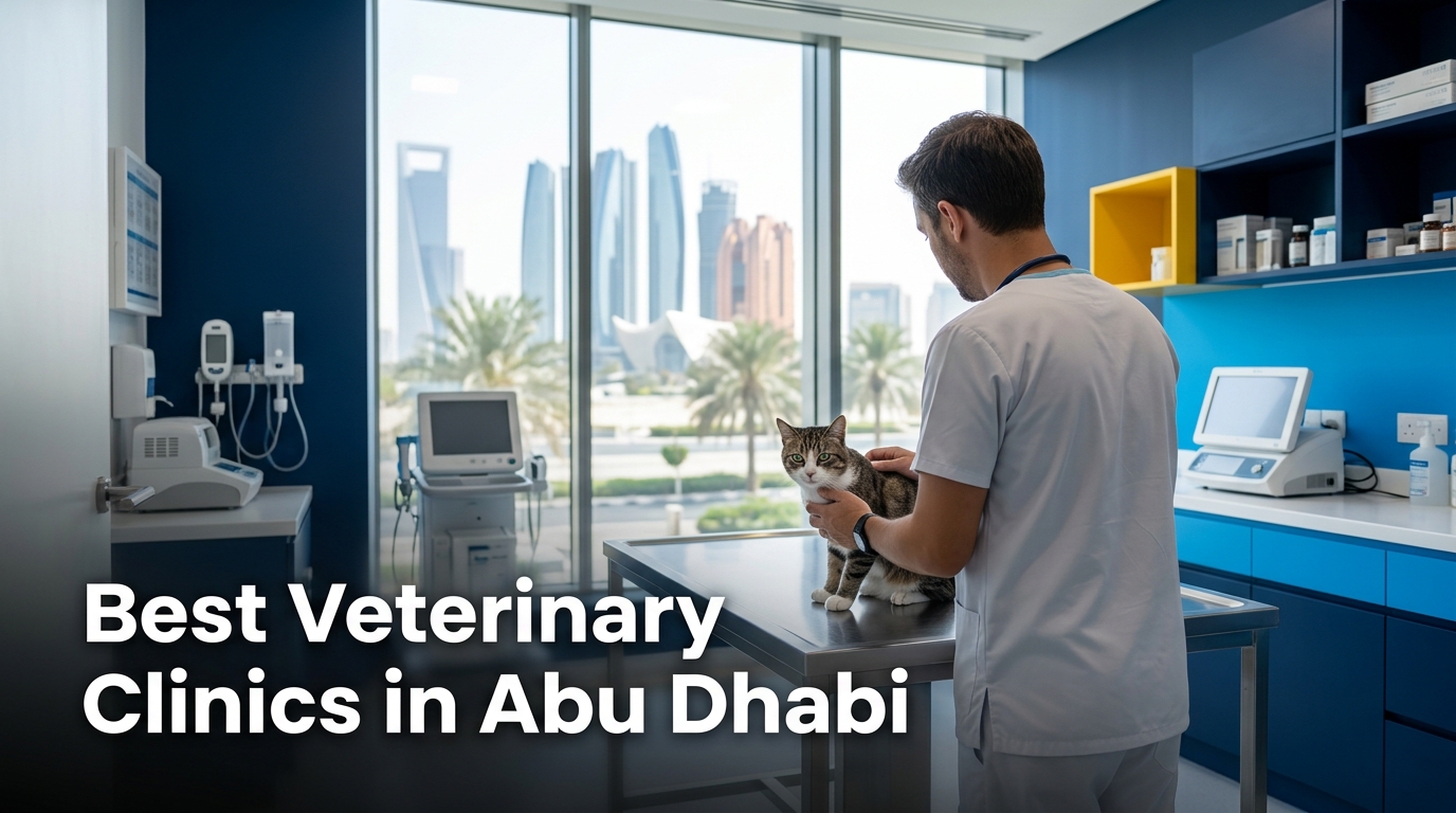 5 Best Veterinary Clinics in Abu Dhabi (2026)