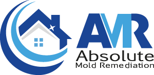 Absolute Mold Remediation Ltd logo