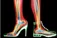 ACADEMY FOOT AND ORTHOTIC CLINICS logo