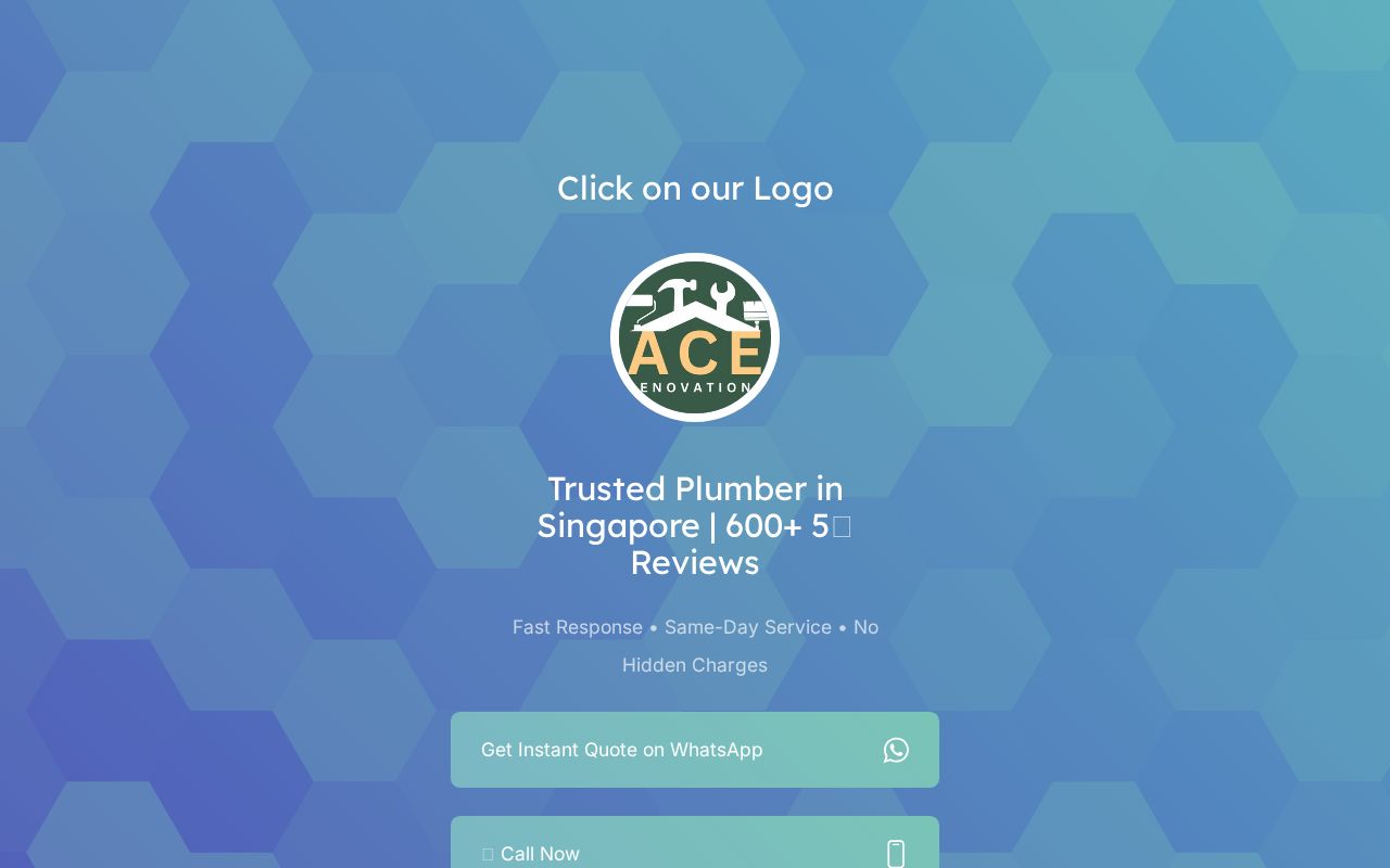 Ace Craft Renovations Pte Ltd logo