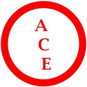 Ace Private Investigations Pte Ltd logo