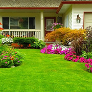 Admire Landscaping & Lawn Care logo