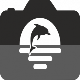 Alina Delfino Photography logo