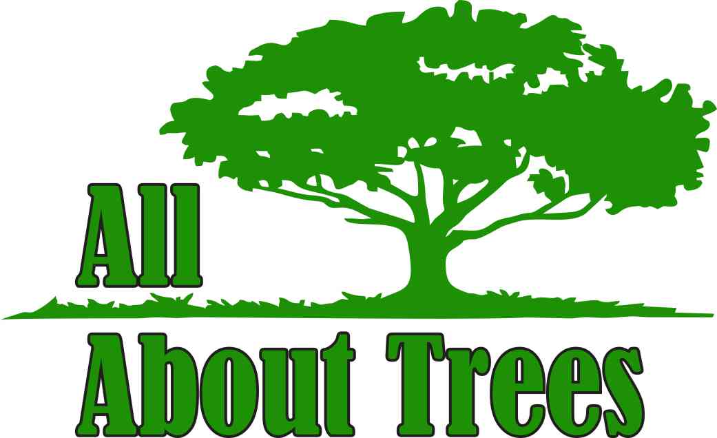 All About Trees Tree Service Fort Lauderdale logo