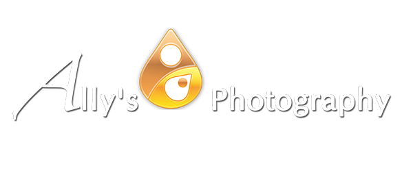 Ally's Photography logo