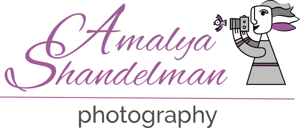 Amalya Shandelman Photography logo