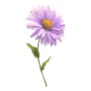 Aster Gynaecology - Dr Ng Kai Lyn 黄楷伶 | Female Gynaecologist | Women's Health Specialist | Laparoscopy Specialist Singapore logo