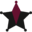 Benford Protection Group llc logo