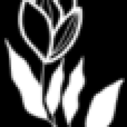 Big buds flowers Trading LLC logo