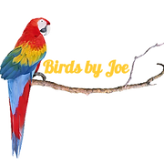 Birds By Joe logo