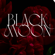 BLACK MOON COLLECTIVE logo