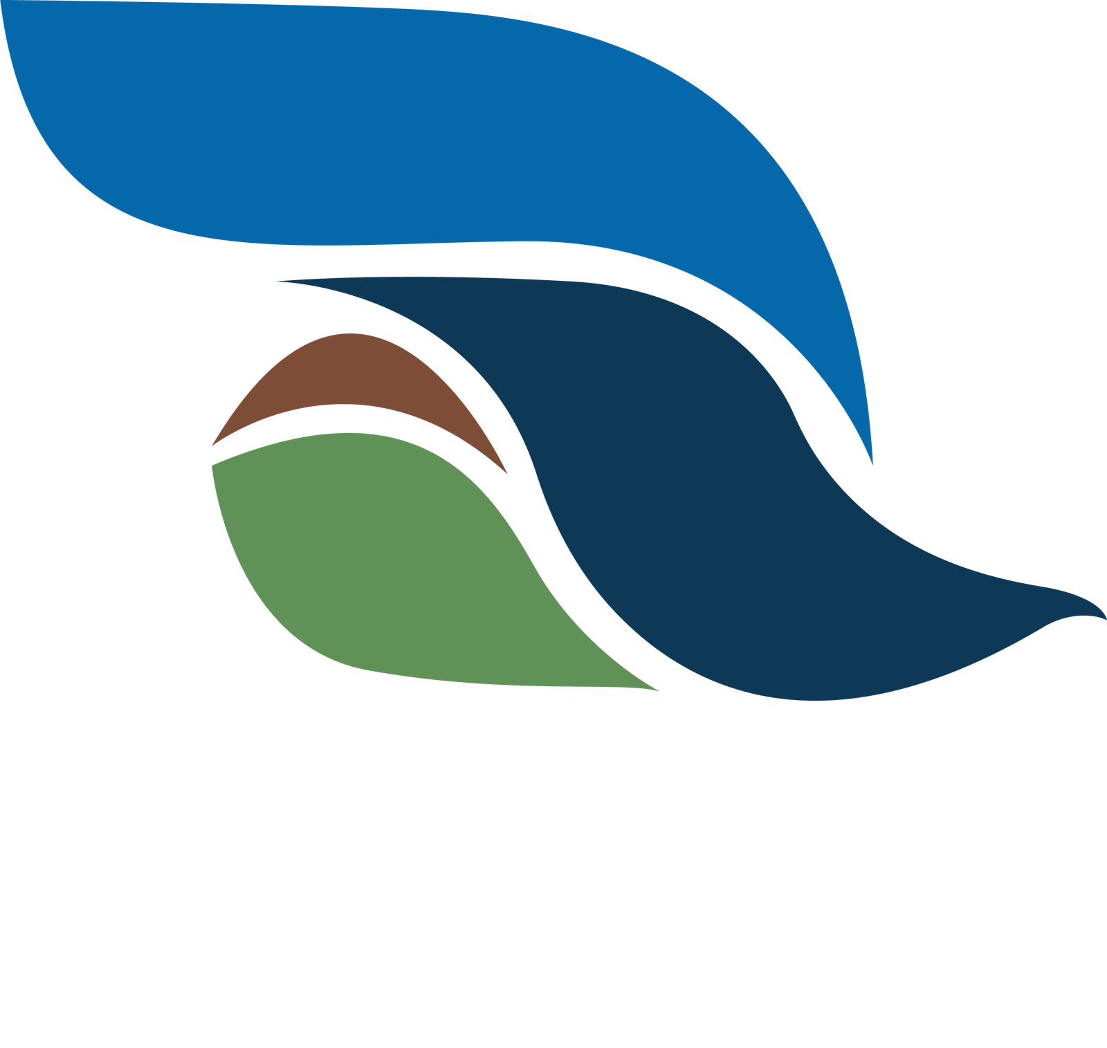 Blue Line Environmental Services L.L.C logo