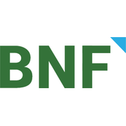 BNF Consulting NYC logo