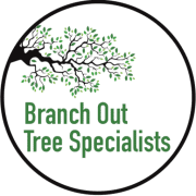Branch Out Tree Specialists logo