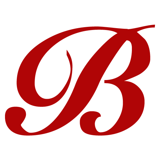 Bravo Bridals - Toronto’s Best Bridal Shop For Wedding Dresses logo