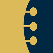Brian Waldron Guitar Lessons logo