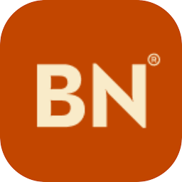 Brite Nites | Holiday & Outdoor Lighting logo