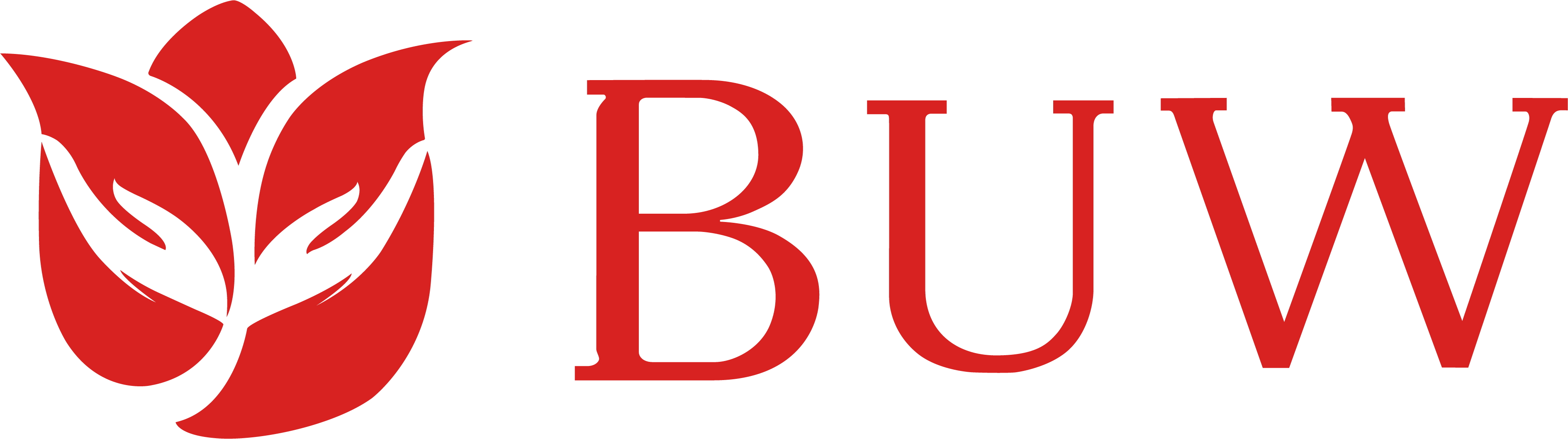 BUW Human Hair Factory Store -- Chicago logo