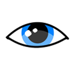 Capitol Hill Vision logo