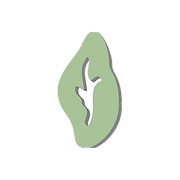 Casa Verde Salon Spa logo