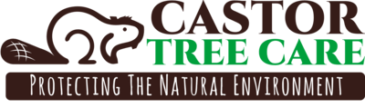 Castor Tree Care logo