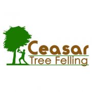 Ceasar Tree Felling logo