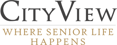CityView logo