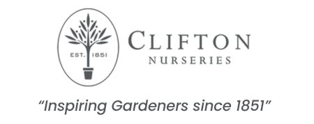 Clifton Nurseries logo