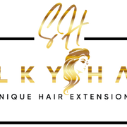 D30 Silky Hair Dragon City logo