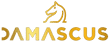 Damascus Sport logo