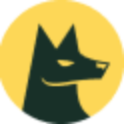 Data Rush Couriers logo