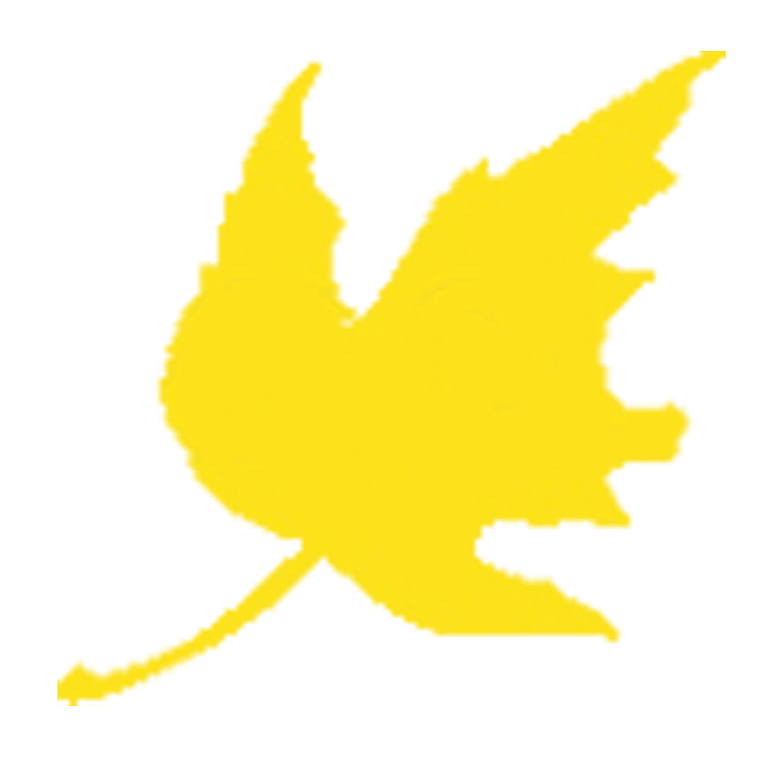 Denver Gutter Cleaning logo