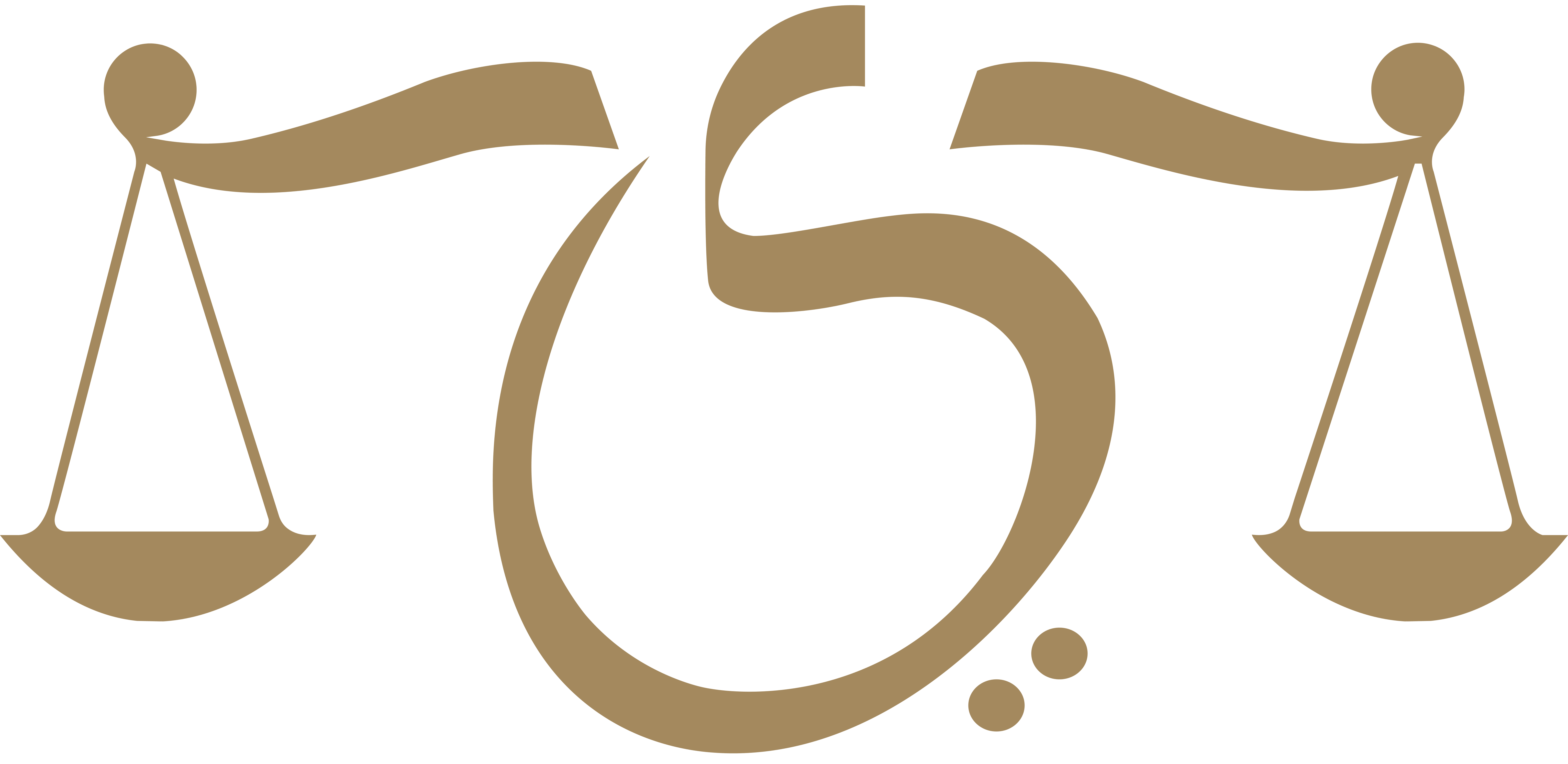 DOCTOR YOUSIF ABDULLA ALMARZOOQI ADVOCATES & LEGAL CONSULTANTS logo