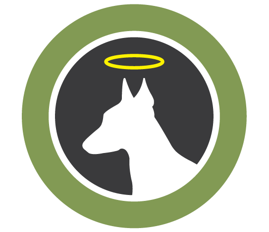 Dogboy NYC logo