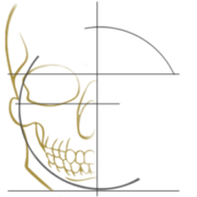 Dr. Hennie Kloppers - Maxillofacial & Oral Surgeon | Kaak, Gesig- en Mond chirurg - Johannesburg logo