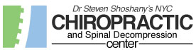 Dr. Steven Shoshany Chiropractor logo