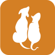 Dubai Kennels & Cattery (DKC) logo