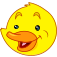 Duck and Dive Baby Swim School logo