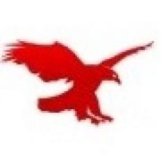 Eagle Watch Roofing Inc logo