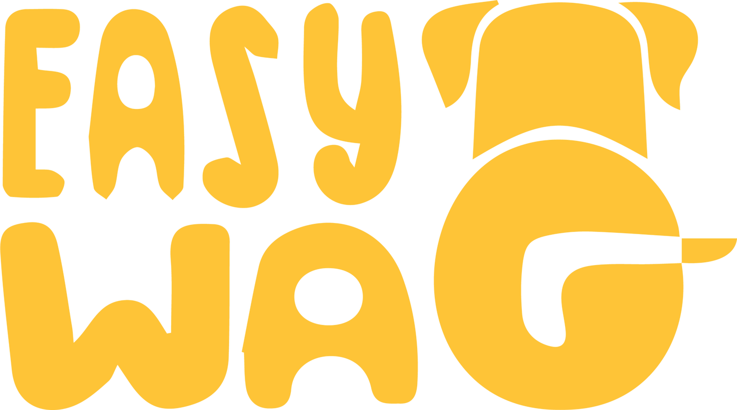 Easy Wag FiDi logo